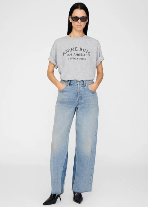 Camiseta ANINE BING gris
